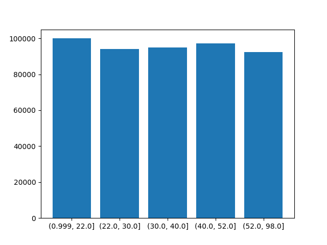 _images/age_bins_equifrequent.png