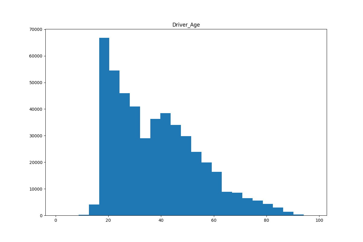 _images/driver_age_hist.png